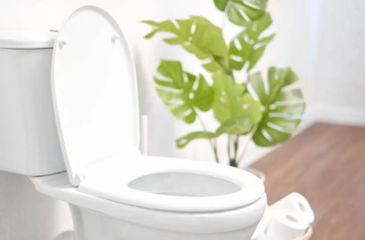 SS - incrostazioni wc
