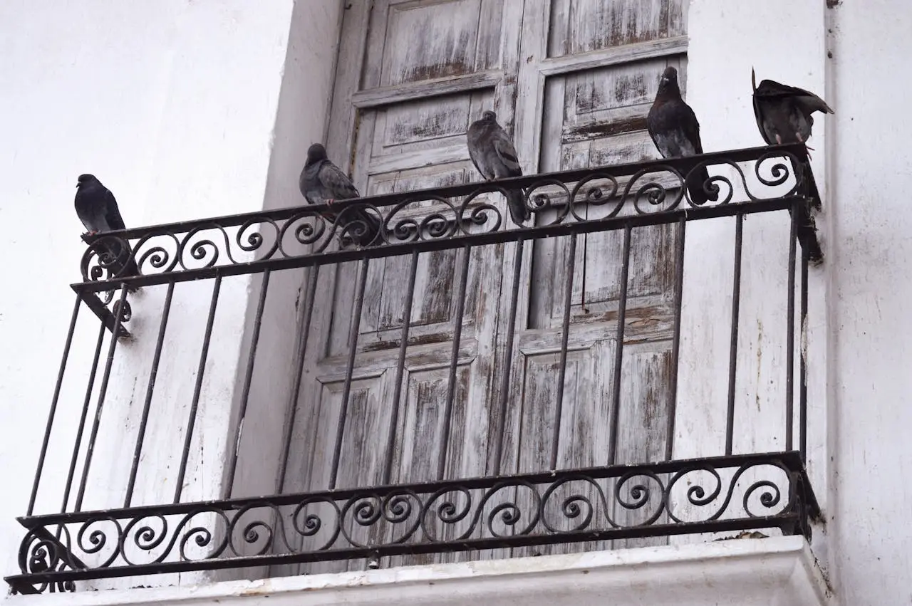 SC - Balcone con spaventapasseri o CD riflettenti